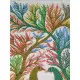 Gond Painting - indian art Peahen & Peacock
