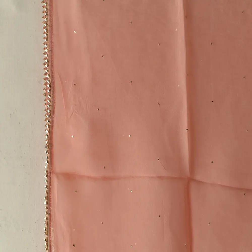 semi stitched viscose georgette kurti in delicate peach color featuring fine hand embroidered chikankari lattice yoke and all over floral motifs paired with a mukaish and lace detailed dupatta