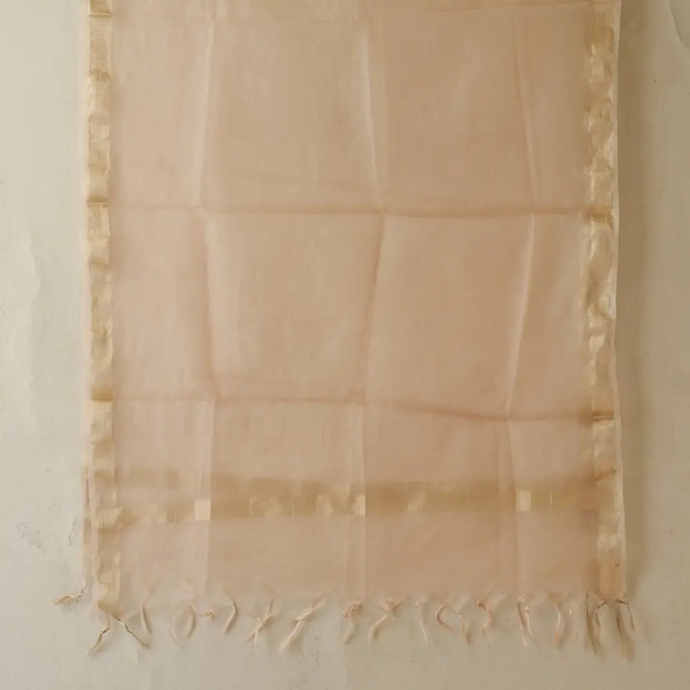 Buy Handcrafted Chikankari Semi Stitched Kurtas ~ Georgette