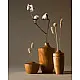 shop wooden cutlery kitchenware - bowl