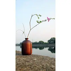 Sankhla ✼ Walnut Wooden Vase ✼ 7