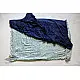 Charulata ★ Bandhani & Ajrakh ★ Gajji Silk Saree ★ 7