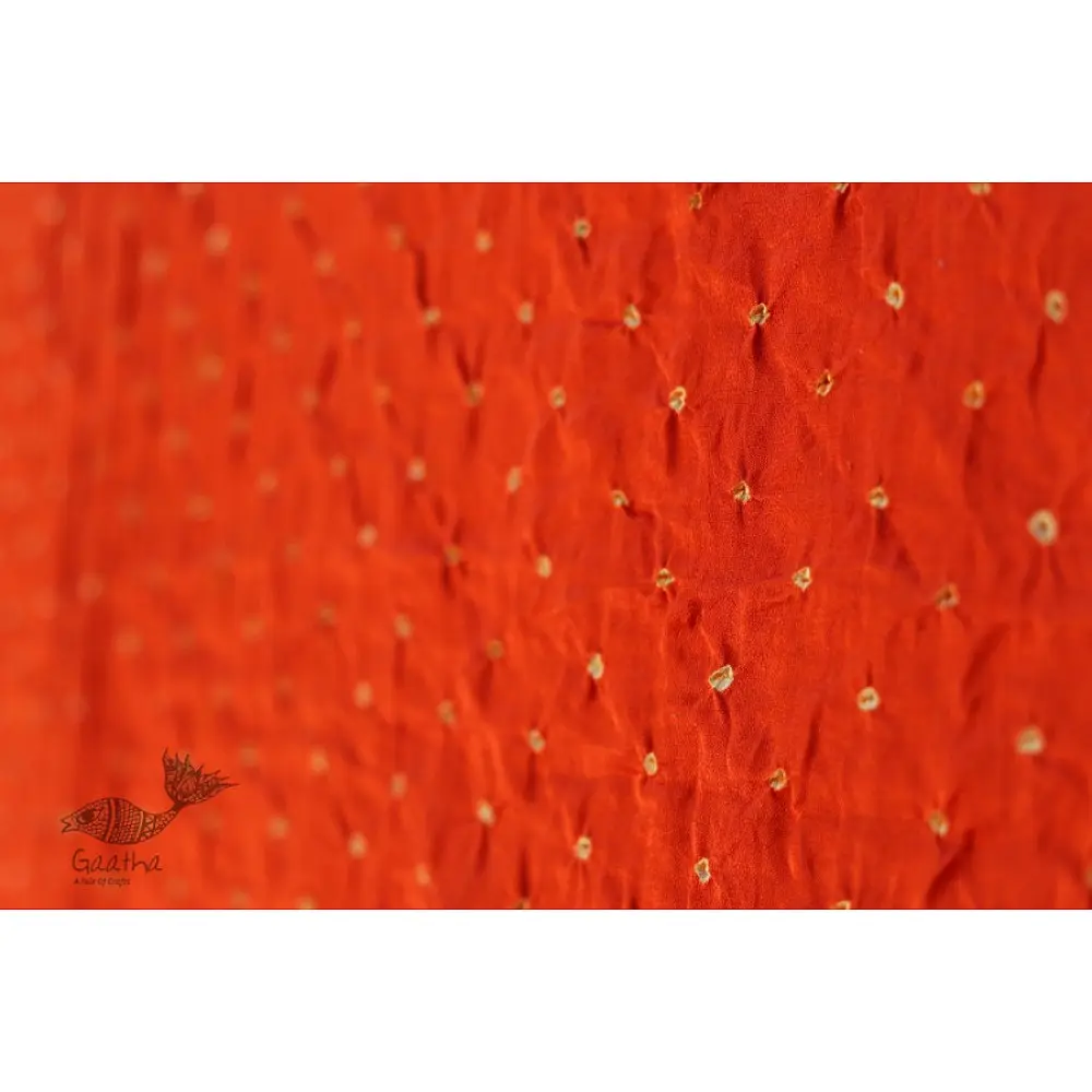 Flavors of fusion ★ Gajji Silk Ajrakh Bandhani Dupatta ~ 4