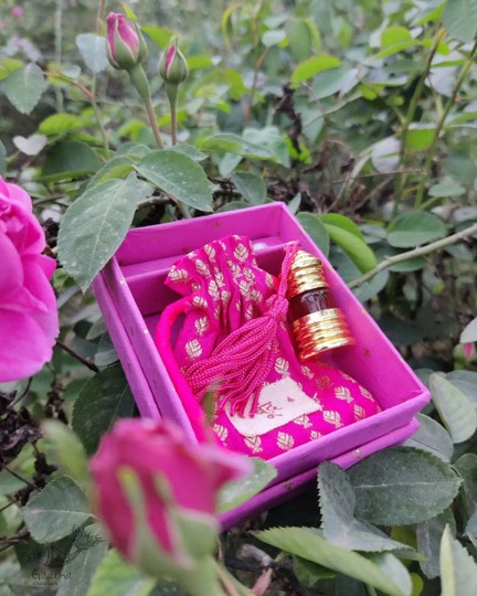 Pure organic fragrance of Kannauj Rose - Fragrant oil