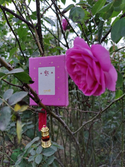 Pure organic fragrance of Kannauj Rose - Fragrant oil