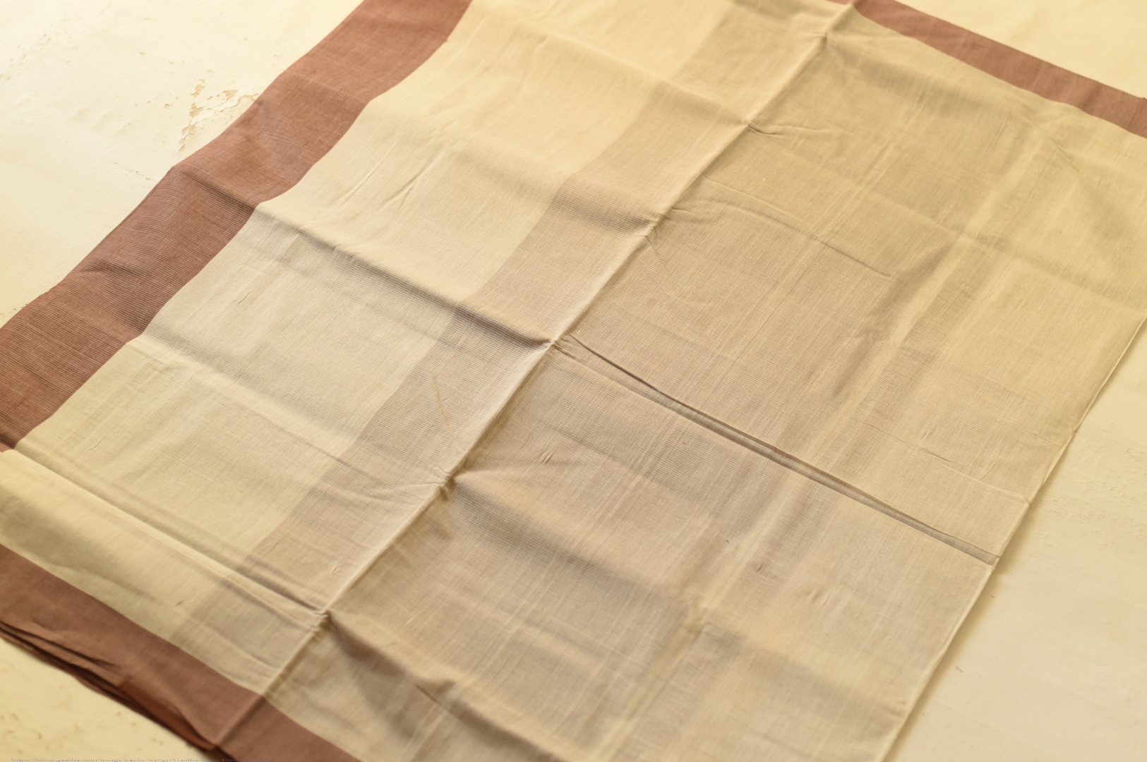 Handwoven cotton saree |  from Andhra Pradesh - Off White