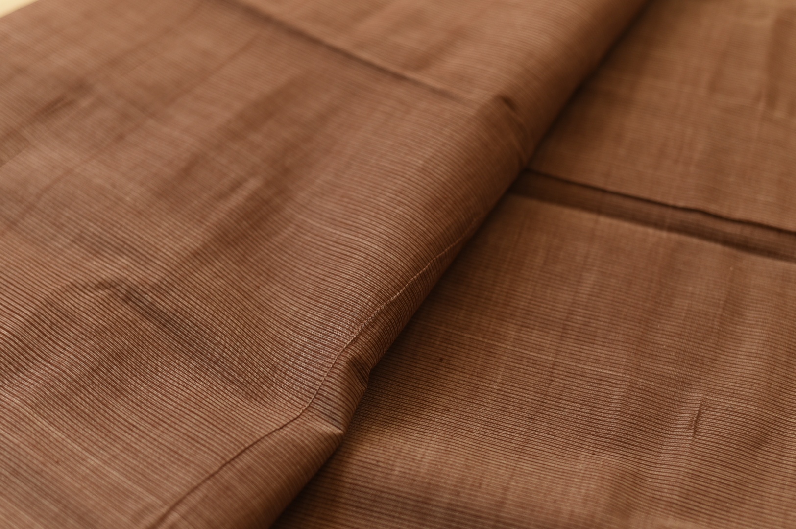 Handwoven cotton saree |  from Andhra Pradesh - Off White