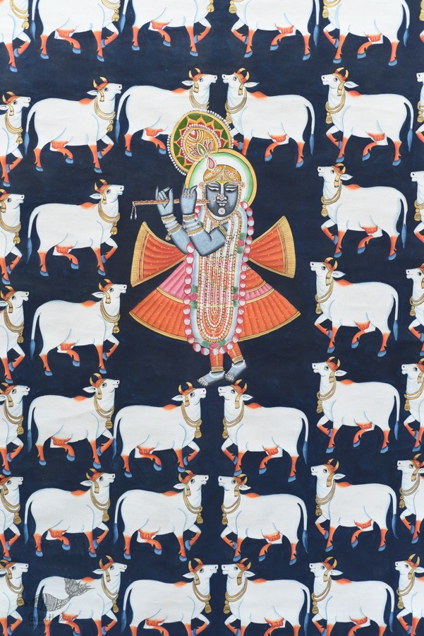 buy Traditional Pichwai Painting - Shrinathji & White cows