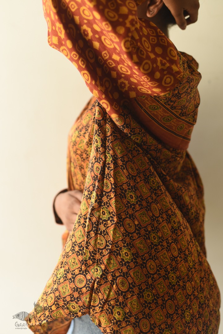 buy Hand Block Prints ~ Ajrakh Modal Silk Shirt