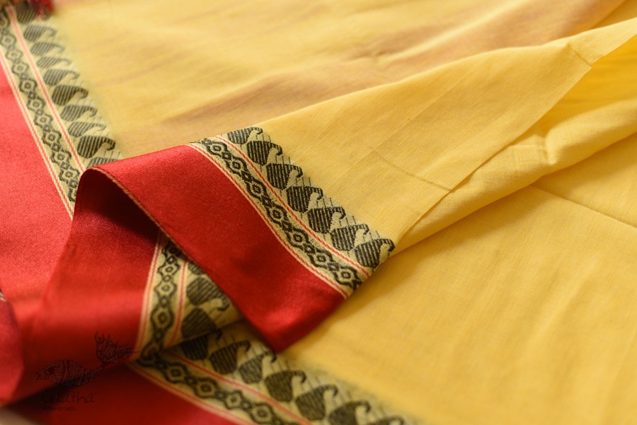 Casual Classics ❊ Everyday Handloom Saree for 