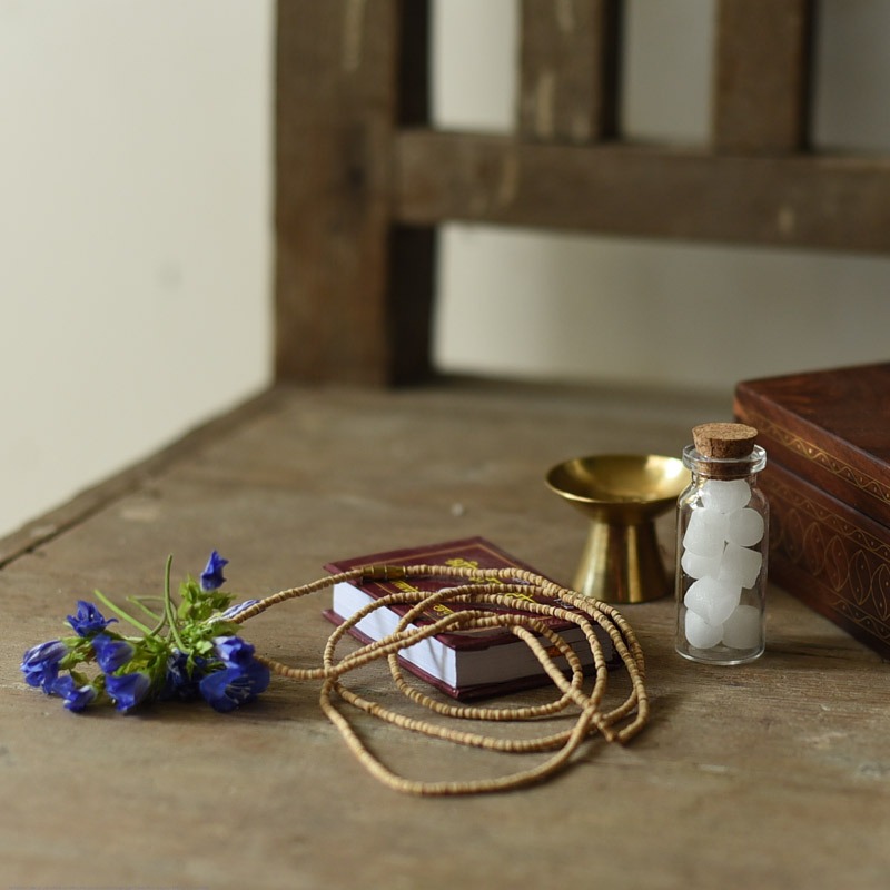 Devotional Travel Set (Radha Krishna )