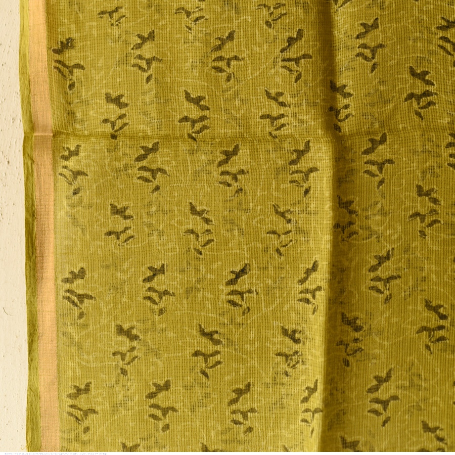 shop Block Printed - Handwoven Kota Doria Cotton Dupatta 