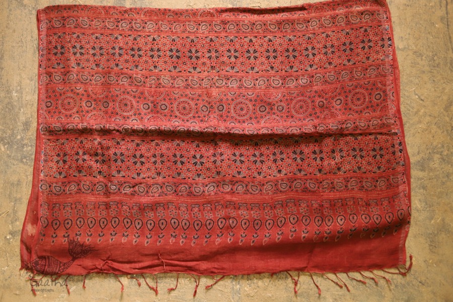 फ़लक ✽ Ajrakh Linen Saree ~ 24