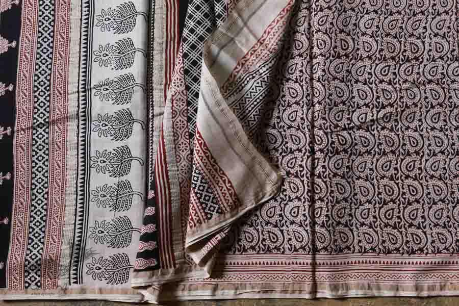 Chinmayi * Bagh Printed . Chanderi Saree * 14