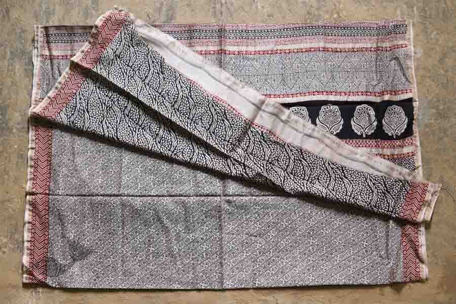 Chinmayi * Bagh Printed . Chanderi Saree * 20