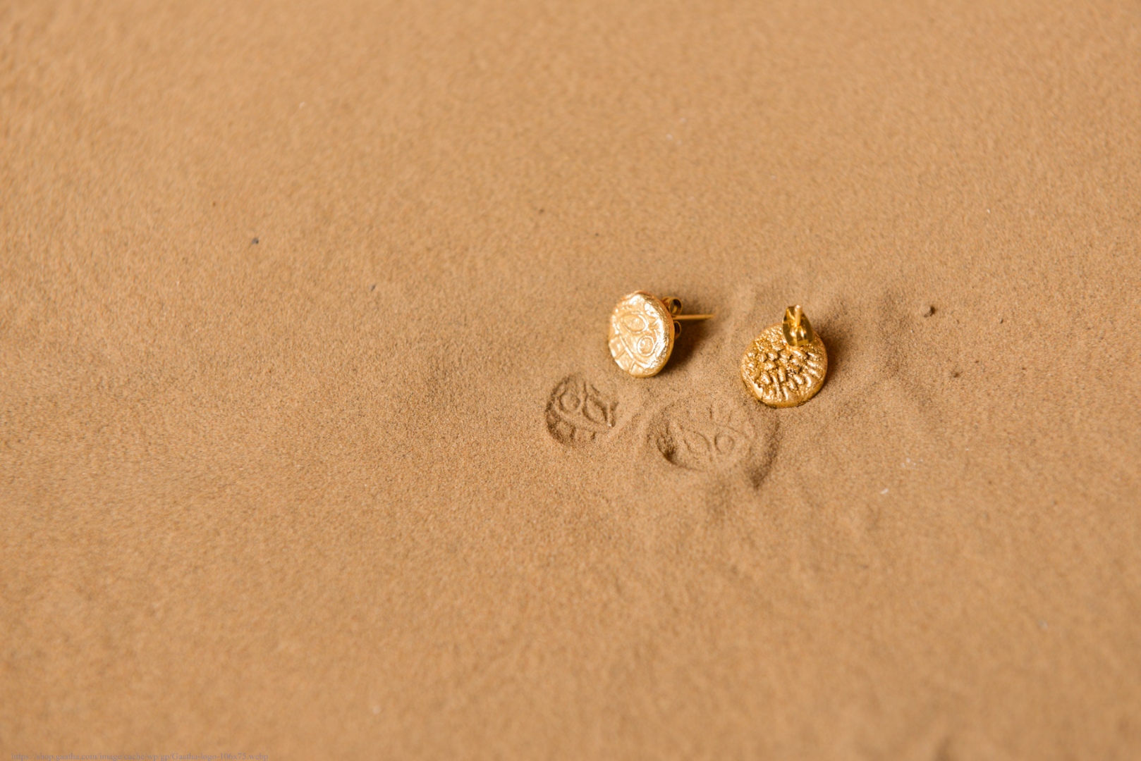 Ottone ✡ Earring ✡ Fossil Stud - 3 ✡ 20