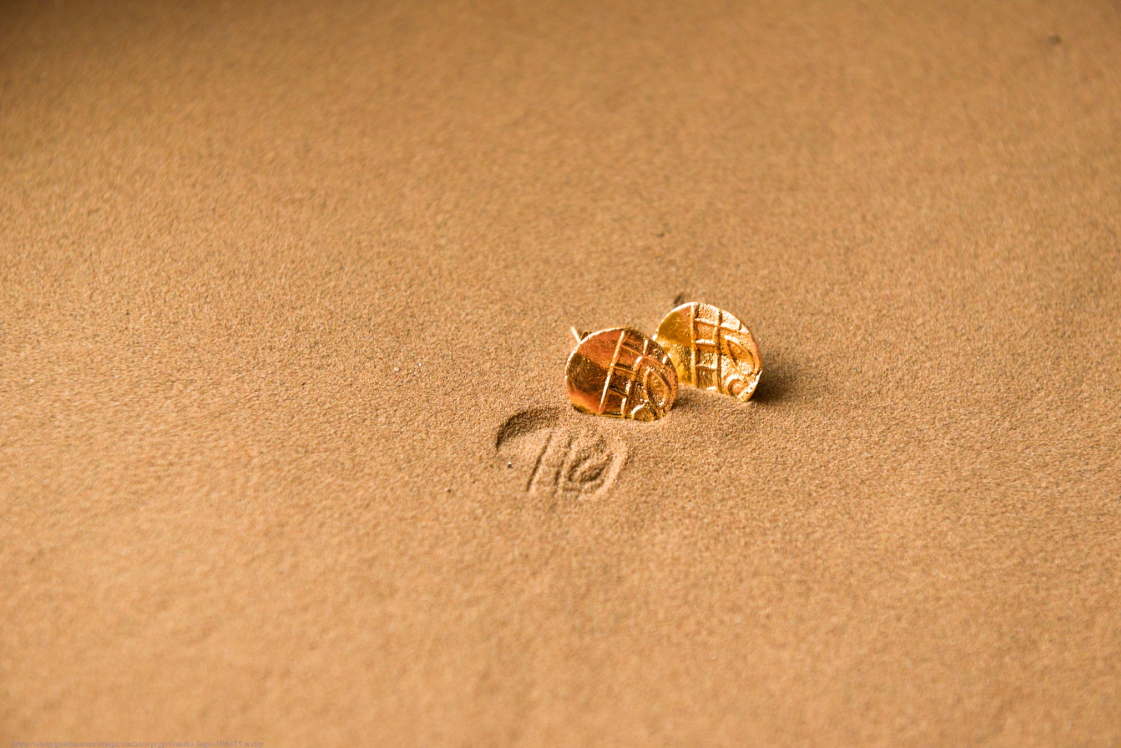 Ottone ✡ Earring ✡ Fossil Stud - 4 ✡ 21