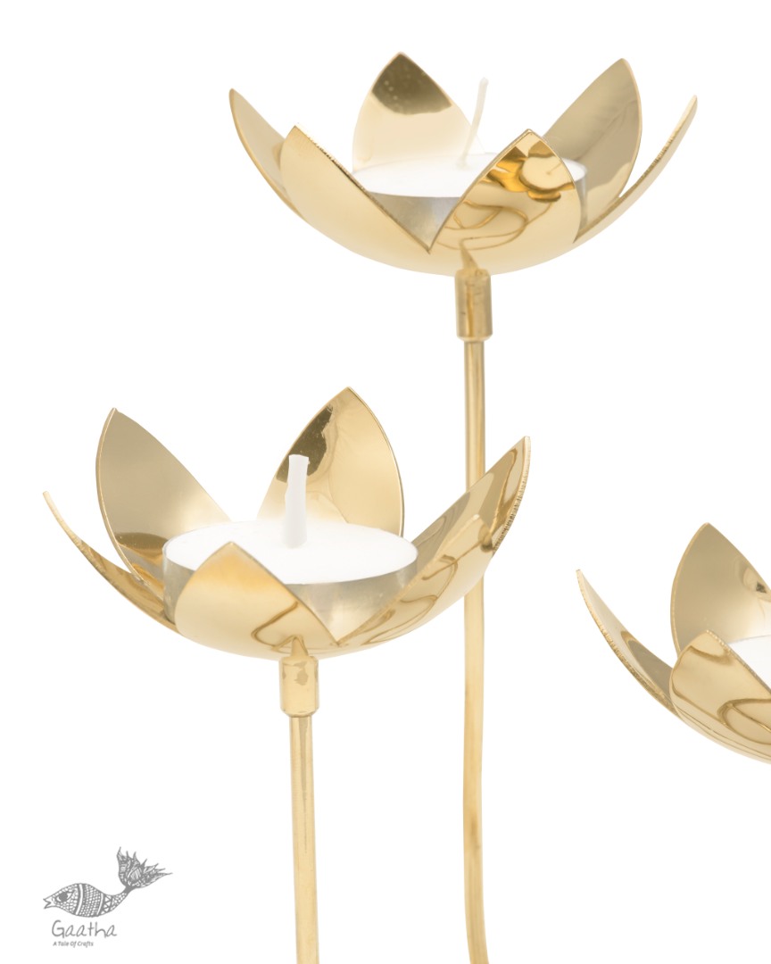 Lotus Cluster ~ 18