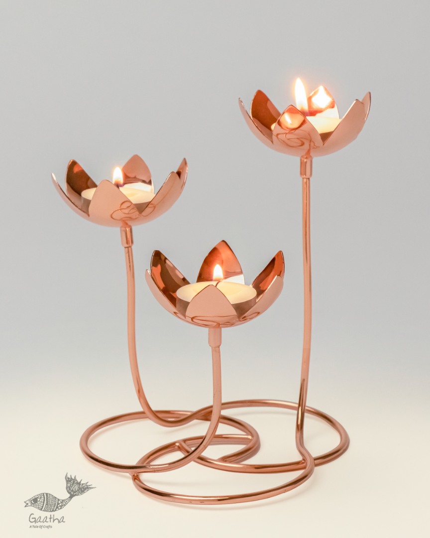 Lotus Cluster ~ 18