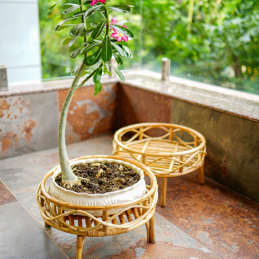 shop Rattan Bonsai Planter Stand