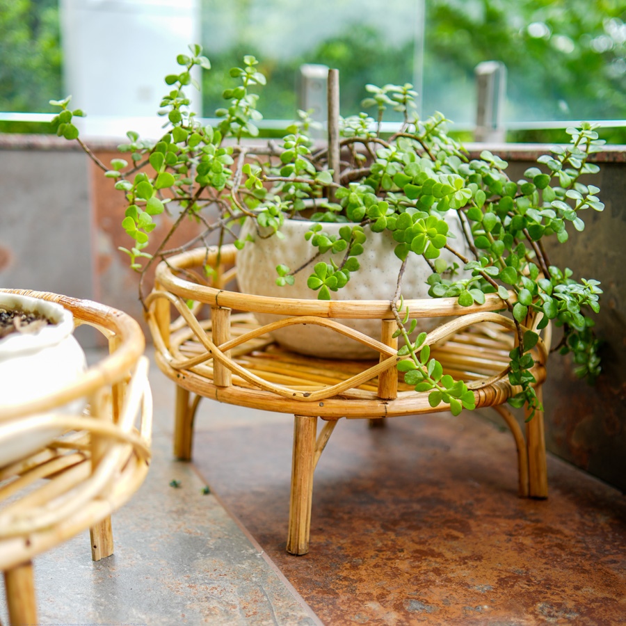 shop Rattan Bonsai Planter Stand