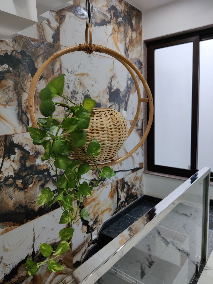 Home Decor Furniture | Cane Wood - Handmade Designer Hanging Planter 