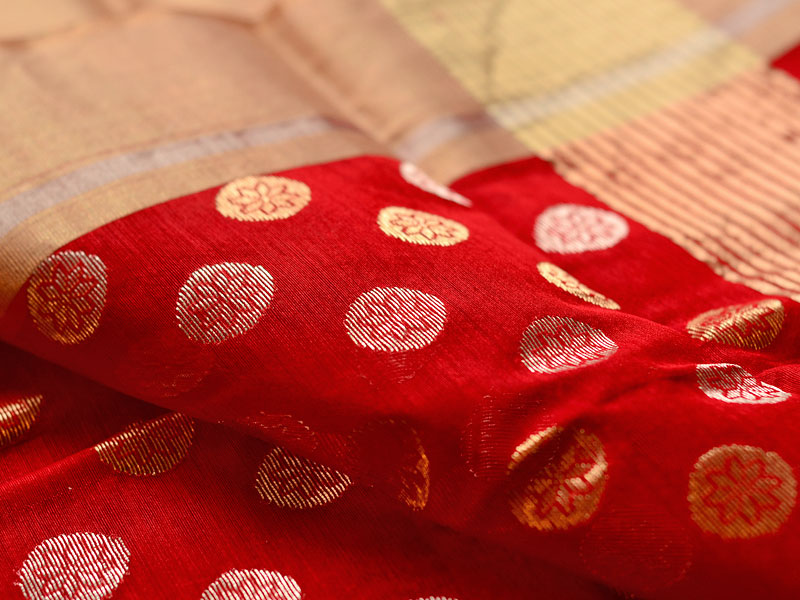 Chanderi saree ~ Puskaraparna