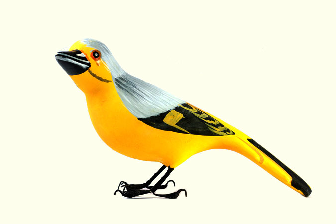 Some chirrups from wilderness ~ Scarlet minivet