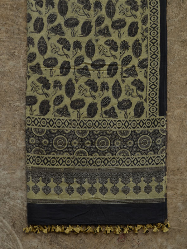 From the Wardrobe ☙ Mul Cotton Ajrakh Dupatta {14}