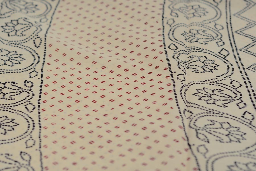 Varunika : Block printed Cotton Saree ~ 23