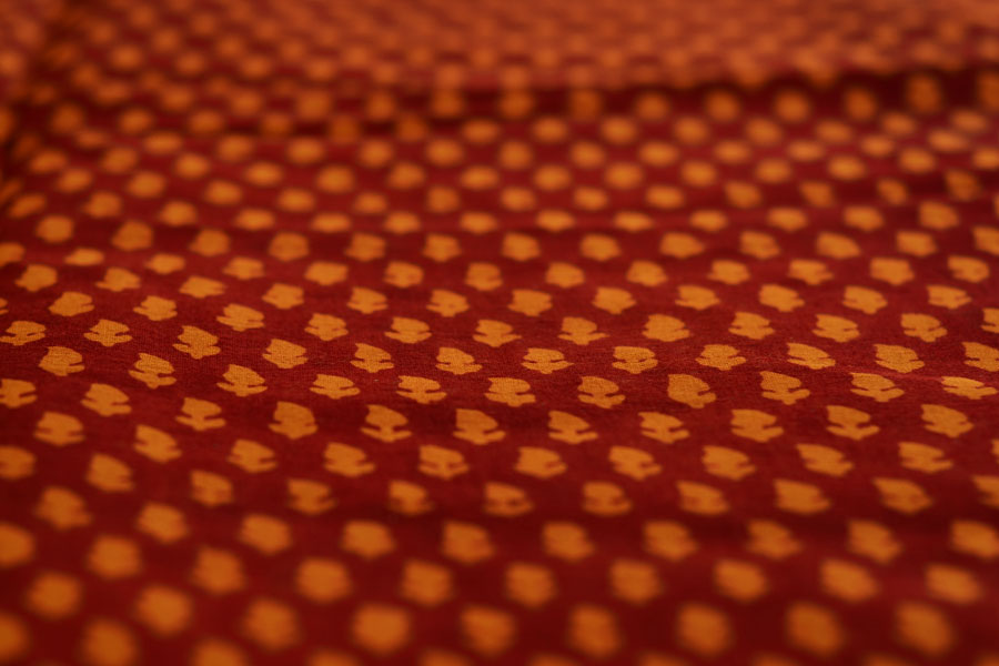 Manjri : Block printed Cotton Saree ~ 4